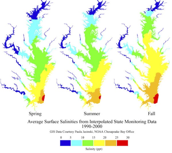 ChesBay_salinity_seasons_600.jpg